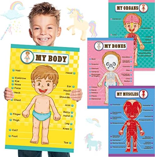 Az emberi Test Oktatási, Tanulási Plakátok testrészek Fal Diagram, Gyerekeknek, Karikatúra Anatómiai Ábra