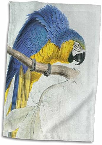 3dRose Anne Marie Baugh - Madarak - Kék-Sárga Papagáj Egy ágon - Törölköző (twl-215444-3)