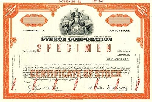 Sybron Corporation - Raktáron Bizonyítvány