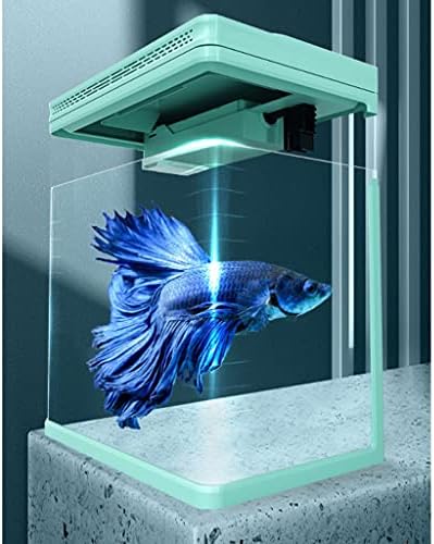 luckxuan akvárium Kis akvárium Kis Tereprendezés Nappali Otthoni Asztali Aranyhal az Üveg Tartály Dekoráció